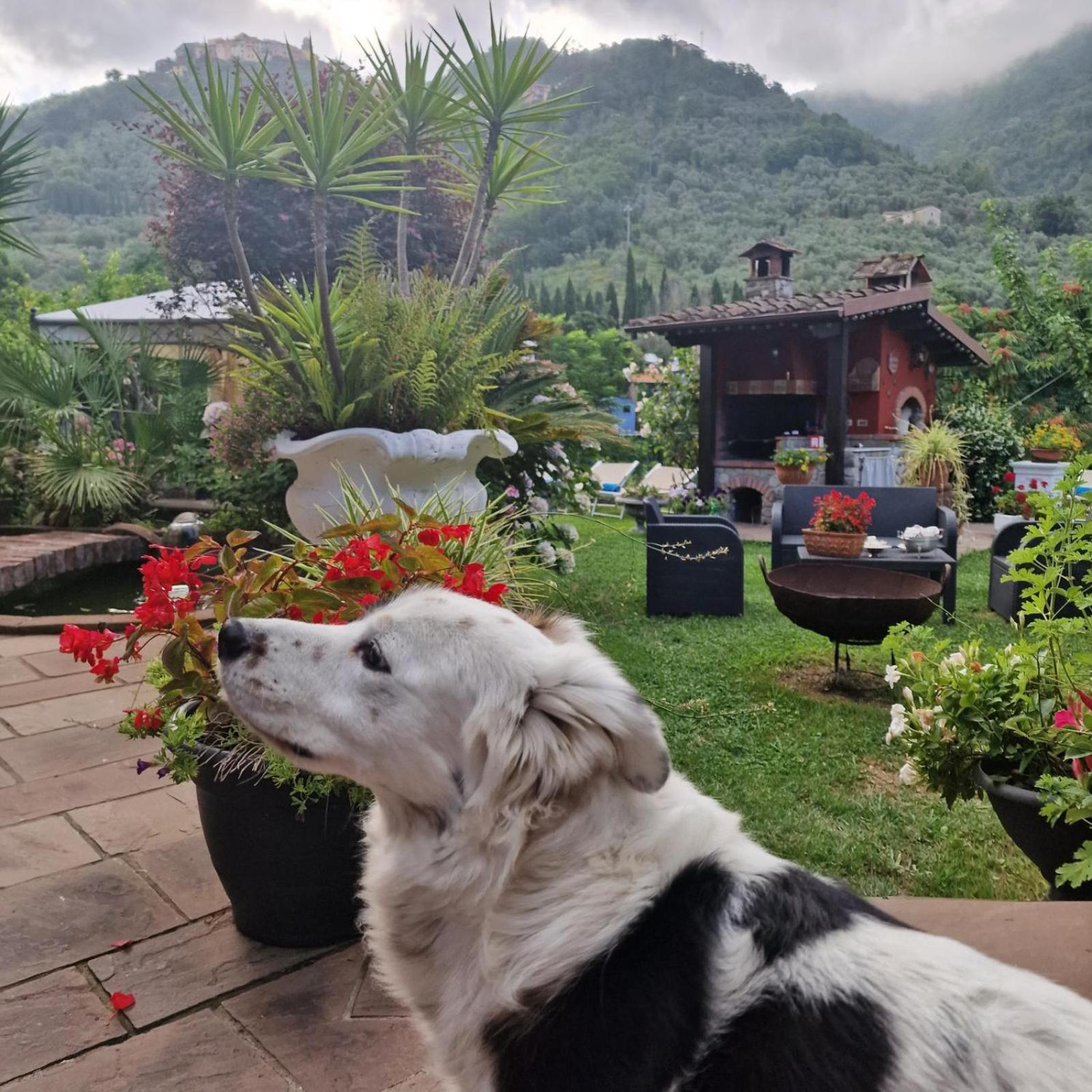Jasmine Cottage Luni Exterior foto